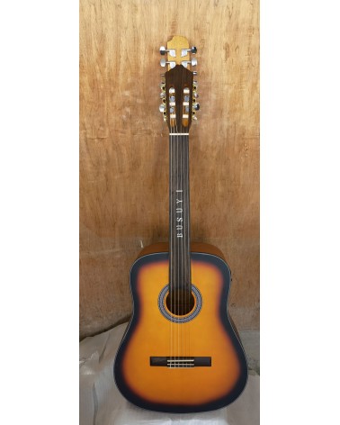 12 String Acoustic / 6 String Fretless Classical Electric, Double Sided Busuyi Guitar 2020 NPT