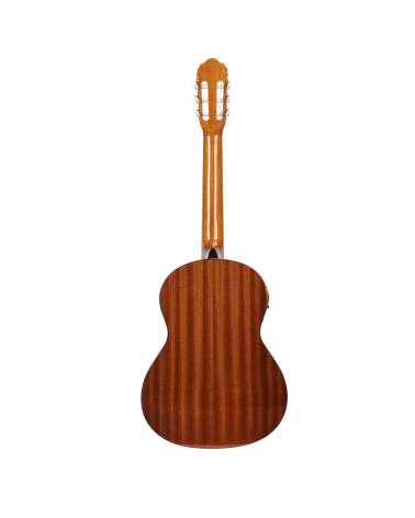 copy of 12 String Acoustic / 6 String Fretless Classical Electric, Double Sided Busuyi Guitar 2020 NPT