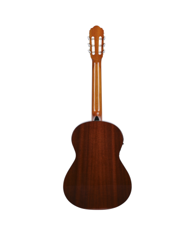copy of 12 String Acoustic / 6 String Fretless Classical Electric, Double Sided Busuyi Guitar 2020 NPT