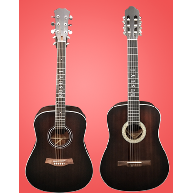 6 String Classical/ 6 String Acoustic/Electric...