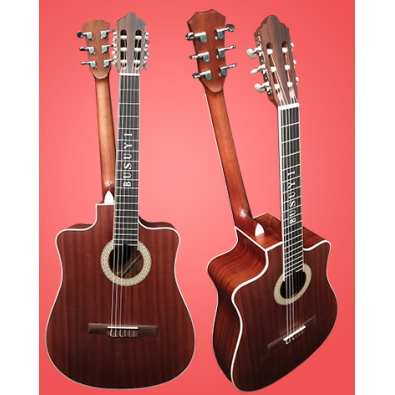 6 String Classical/ 6 String Acoustic/Electric...