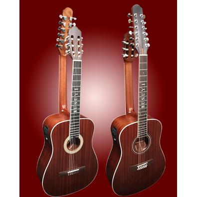 12 Strings Acoustic / 6 String Classical Electric,...