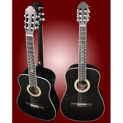 6 String Classical/ 6 String Acoustic/Electric...