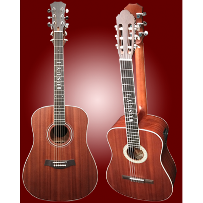 6 String Classical/ 6 String Acoustic/Electric...