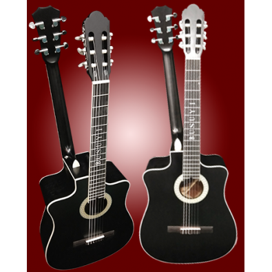 6 String Classical/ 6 String Acoustic/Electric...