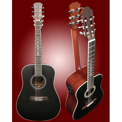 6 String Classical/ 6 String Acoustic/Electric...