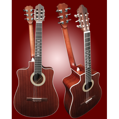 6 String Classical/ 6 String Acoustic/Electric...