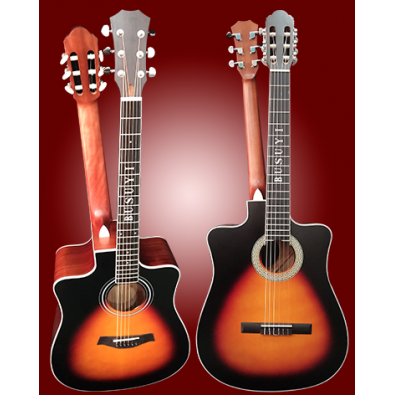 6 String Classical/ 6 String Acoustic/Electric...