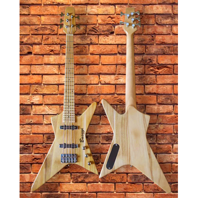 5 String Bass Short Scale Set Neck Bass