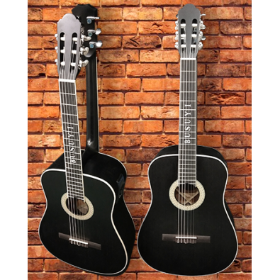 6 String Classical/ 6 String Acoustic/Electric...