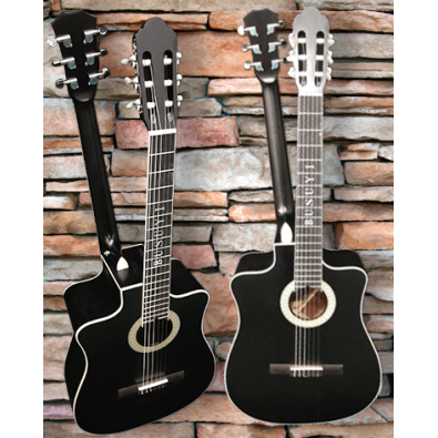 6 String Classical/ 6 String Acoustic/Electric...