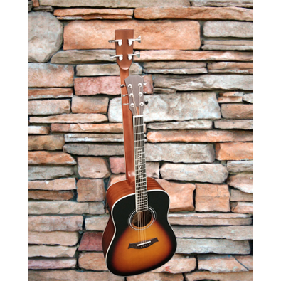 4 String Bass/ 6 String Lead Acoustic/ Electric...