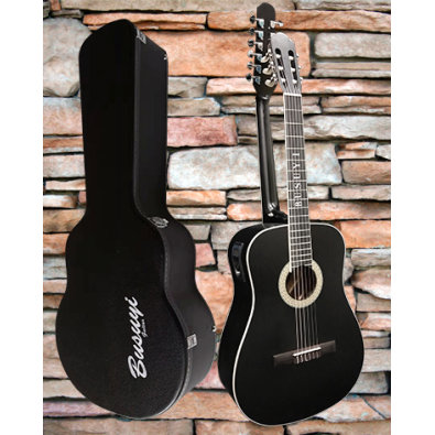 copy of 12/6 Strings Acoustic Electric, Double Sided...