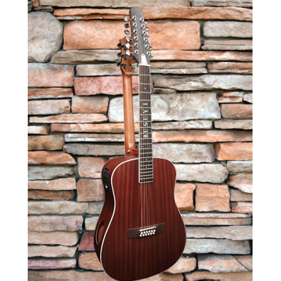 12 String / 6 String Acoustic/Electric Busuyi Guitar...