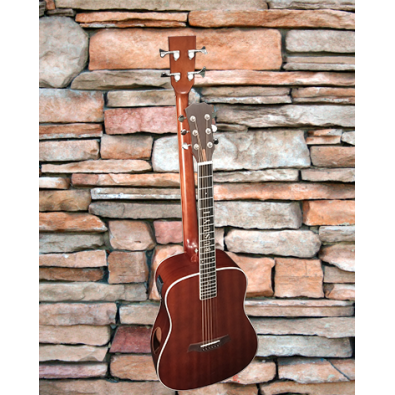 4 String Bass/ 6 String Lead Acoustic/ Electric...