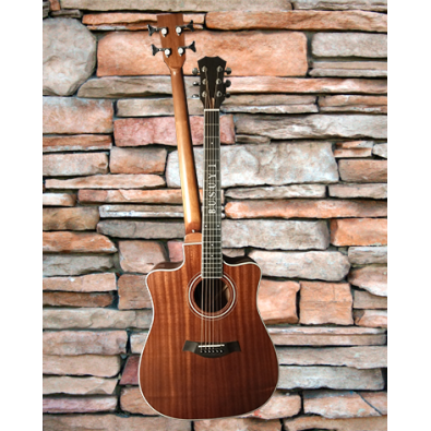 4 String Bass/ 6 String Lead Acoustic/ Electric...