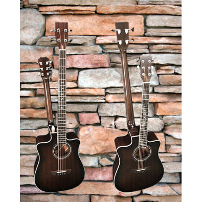4 String Bass/ 6 String Lead Acoustic/ Electric...