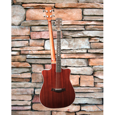4 String Bass/ 6 String Lead Acoustic/ Electric...