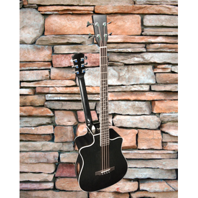 4 String Bass/ 6 String Lead Acoustic/ Electric...