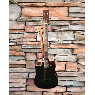 4 String Bass/ 6 String Lead Acoustic/ Electric...