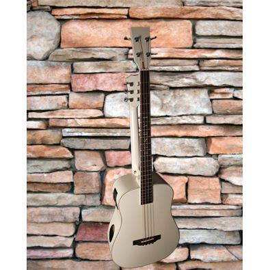 4 String Bass/ 6 String Lead Acoustic/ Electric...