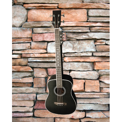 4 String Bass/ 6 String Lead Acoustic/ Electric...