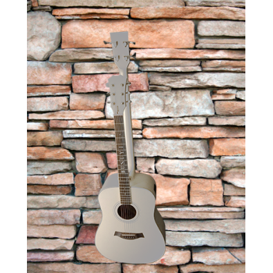 4 String Bass/ 6 String Lead Acoustic/ Electric...