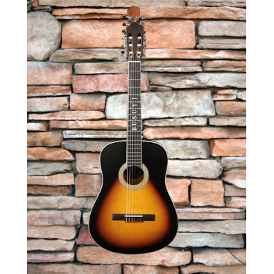 12/6 Strings Acoustic Double Neck, Double Sided...