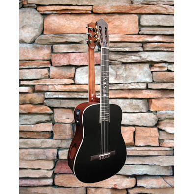 6 Strings classical /6 Strings Acoustic Double Neck,...