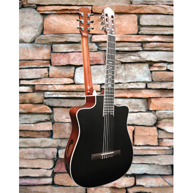 6 Strings classical /6 Strings Acoustic Double Neck,...
