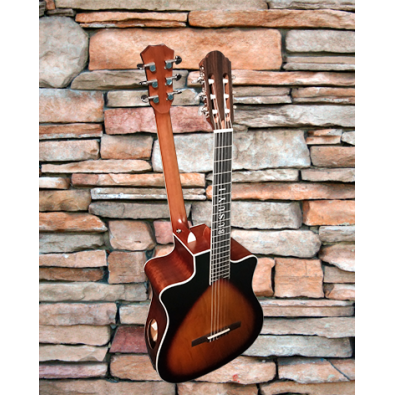 6 Strings classical /6 Strings Acoustic Double Neck,...