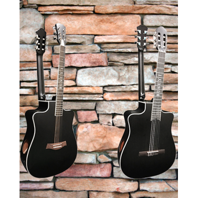 6 Strings classical /6 Strings Acoustic Double Neck,...