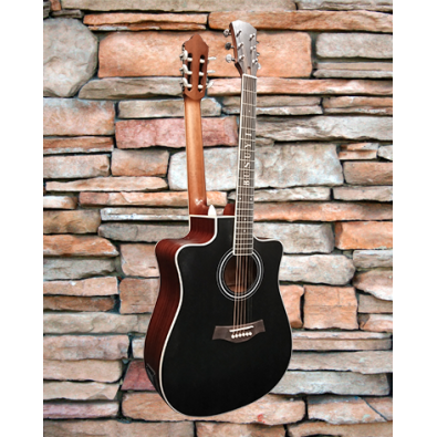 6 Strings classical /6 Strings Acoustic Double Neck,...