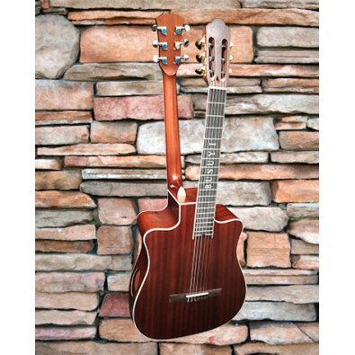 6 Strings classical /6 Strings Acoustic Double Neck,...