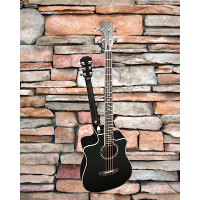 4 String Bass/ 6 String Lead Acoustic/ Electric...