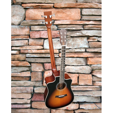 4 String Bass/ 6 String Lead Acoustic/ Electric...