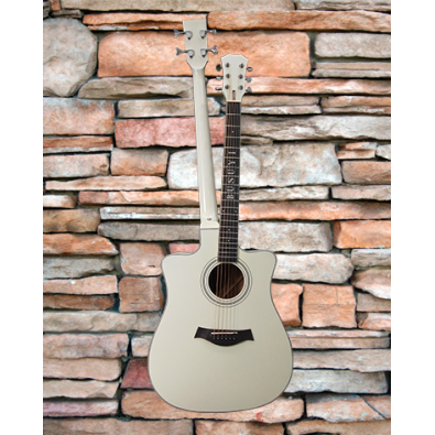 4 String Bass/ 6 String Lead Acoustic/ Electric...