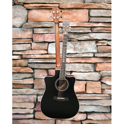 4 String Bass/ 6 String Lead Acoustic/ Electric...