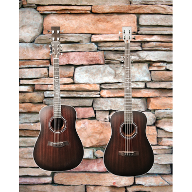 4 String Bass/ 6 String Lead Acoustic/ Electric...