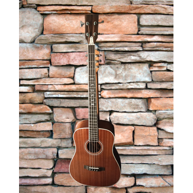 4 String Bass/ 6 String Lead Acoustic/ Electric...