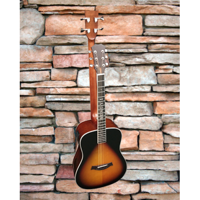 4 String Bass/ 6 String Lead Acoustic/ Electric...