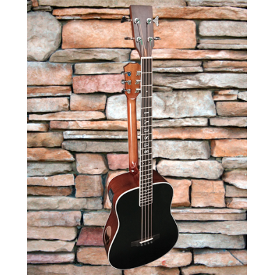 4 String Bass/ 6 String Lead Acoustic/ Electric...