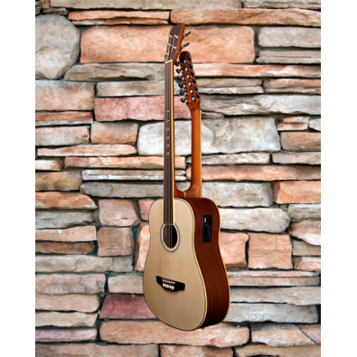 5 String Fretless Bass/ 12 String Acoustic/ Electric...