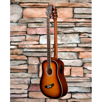 5 String Fretless Bass/ 4 String Fanned Fret Bass...