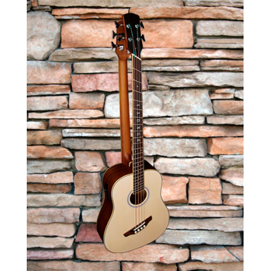 5 String Fretless Bass/ 4 String Fanned Fret Bass...