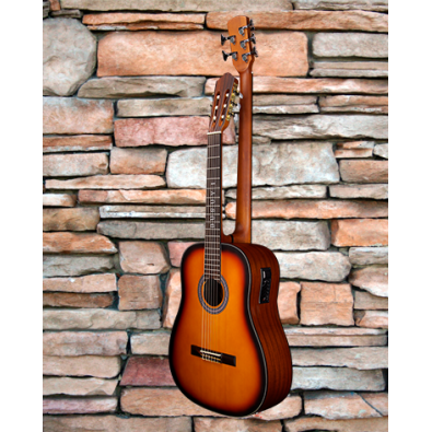 5 String Fretless Bass/ 6 String Classical/ Electric...