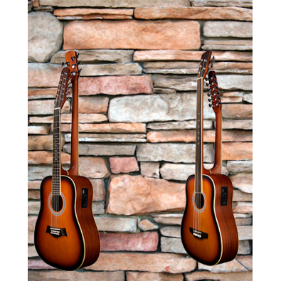 5 String Fretless Bass/ 12 String Acoustic/ Electric...