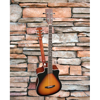4 String Bass/ 6 String Lead Acoustic/ Electric...