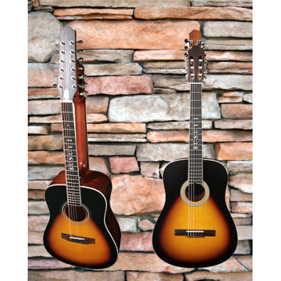12 String Acoustic / 6 String Classical Electric,...