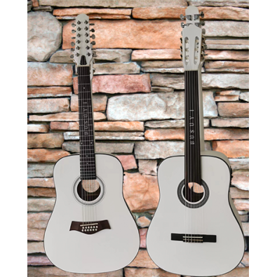 12 String Acoustic / 6 String Fretless Classical...